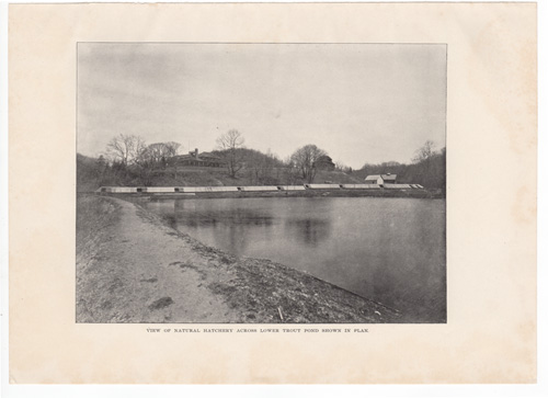 View of natural hatchery across lower trout pond shown in plan